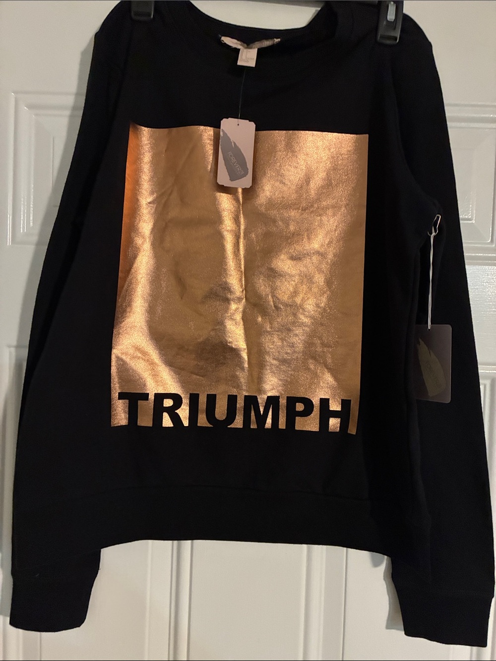 Triumph Black Crewneck Sweater with Metallic Gold Panel